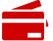 icon pay 1